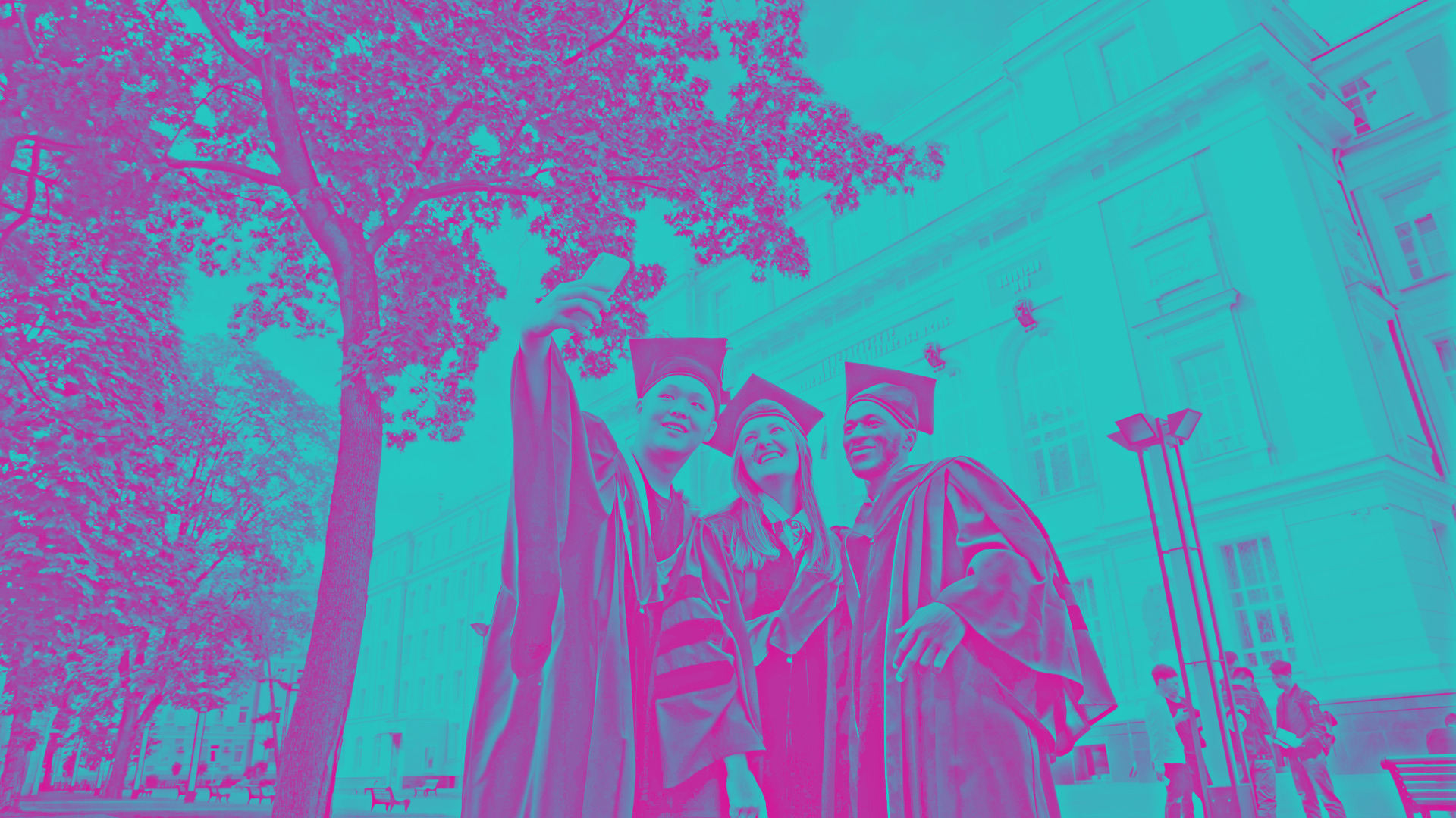 William And Mary Law School Ranking Odyssey william-and-mary-law-school-ranking-odyssey