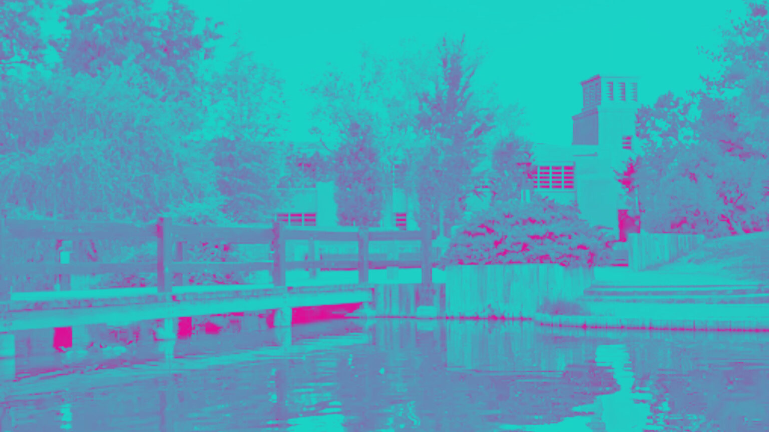 UNM Law School Odyssey