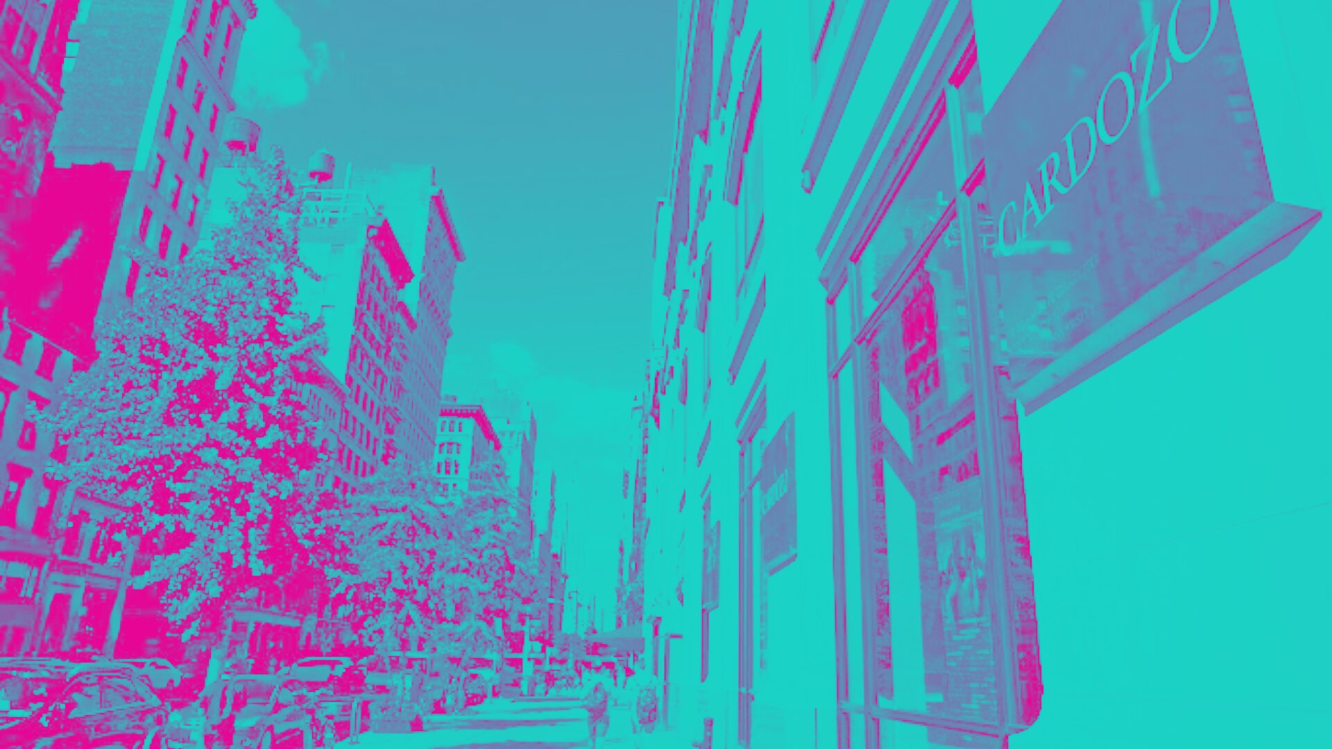 Cardozo School Of Law Odyssey