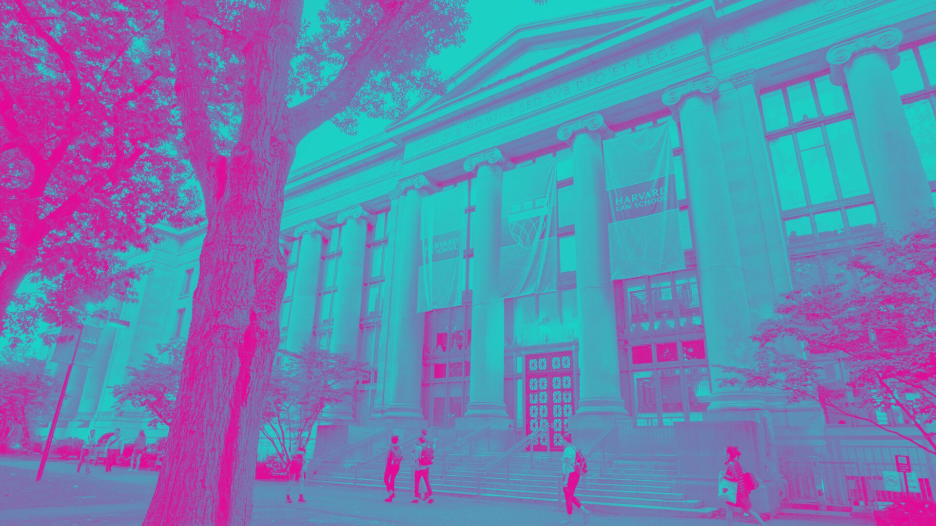 Harvard Law School Application Odyssey