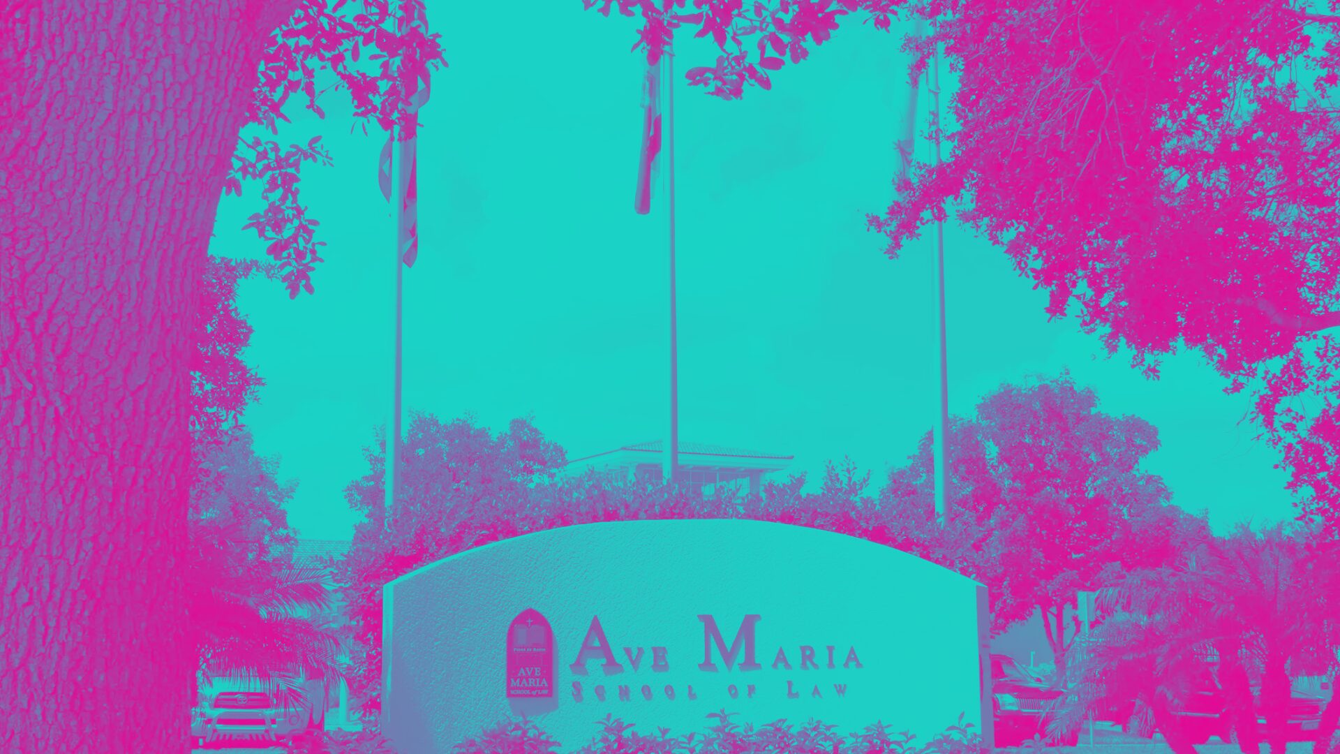 Ave Maria Law School Odyssey